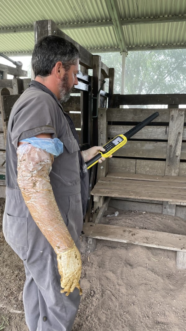 Veterinario Javier Rojas Panelo