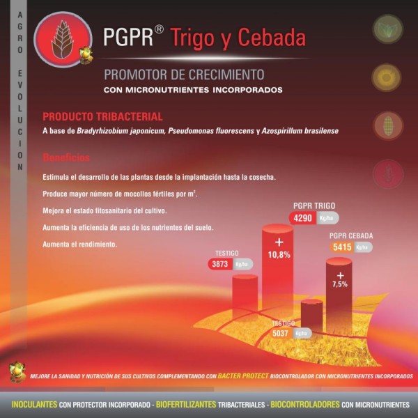 PGPR Trigo y Cebada -Green Quality