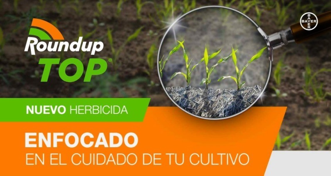 Roundup Top