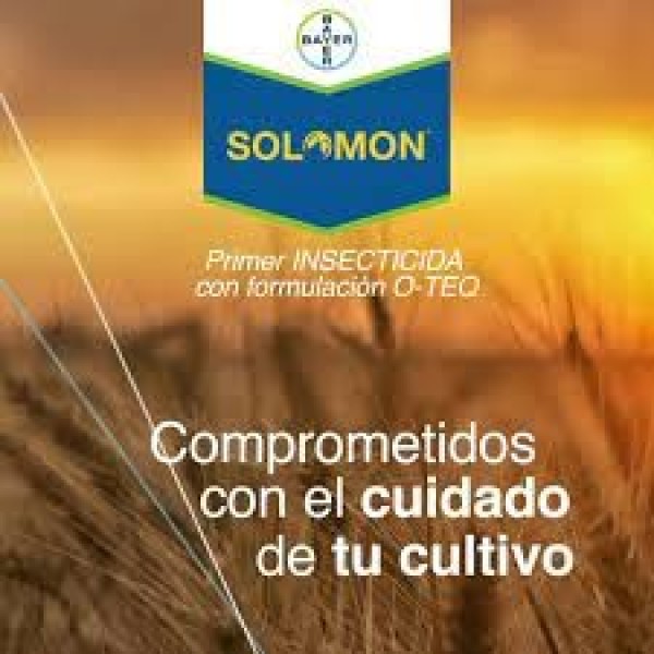 SOLOMON BAYER