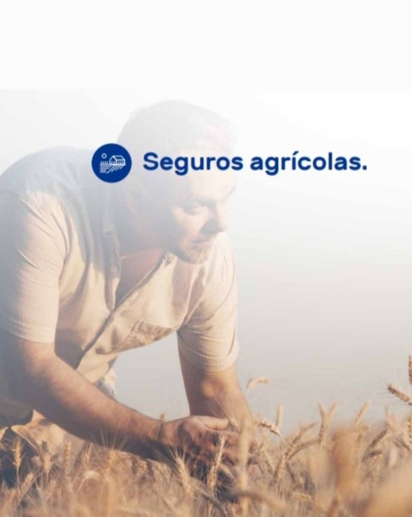 Seguro agrícola