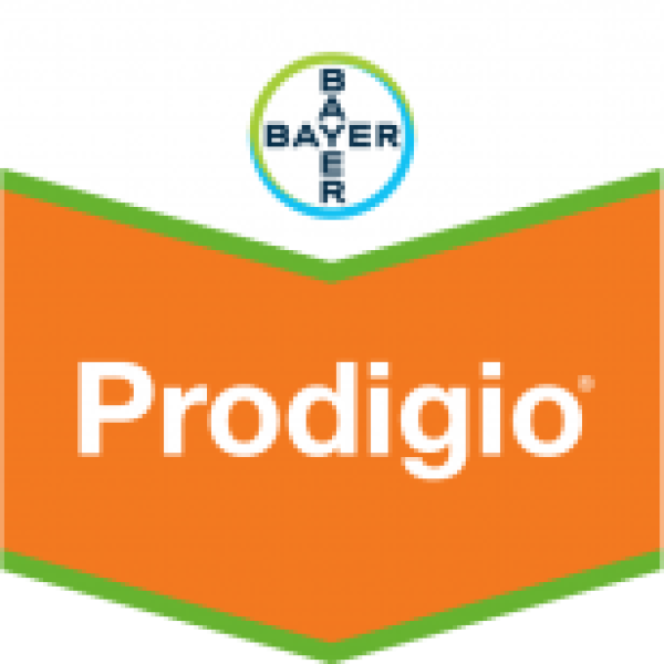 PRODIGIO BAYER