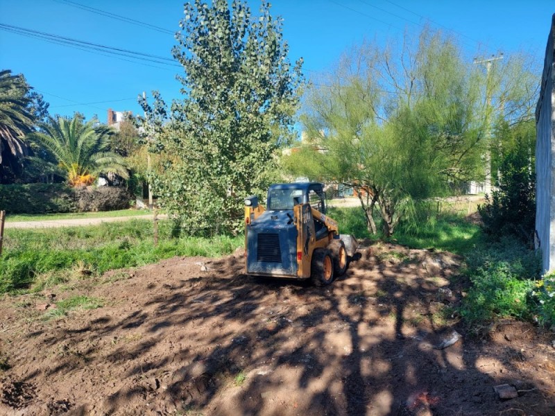 Limpieza de terrenos