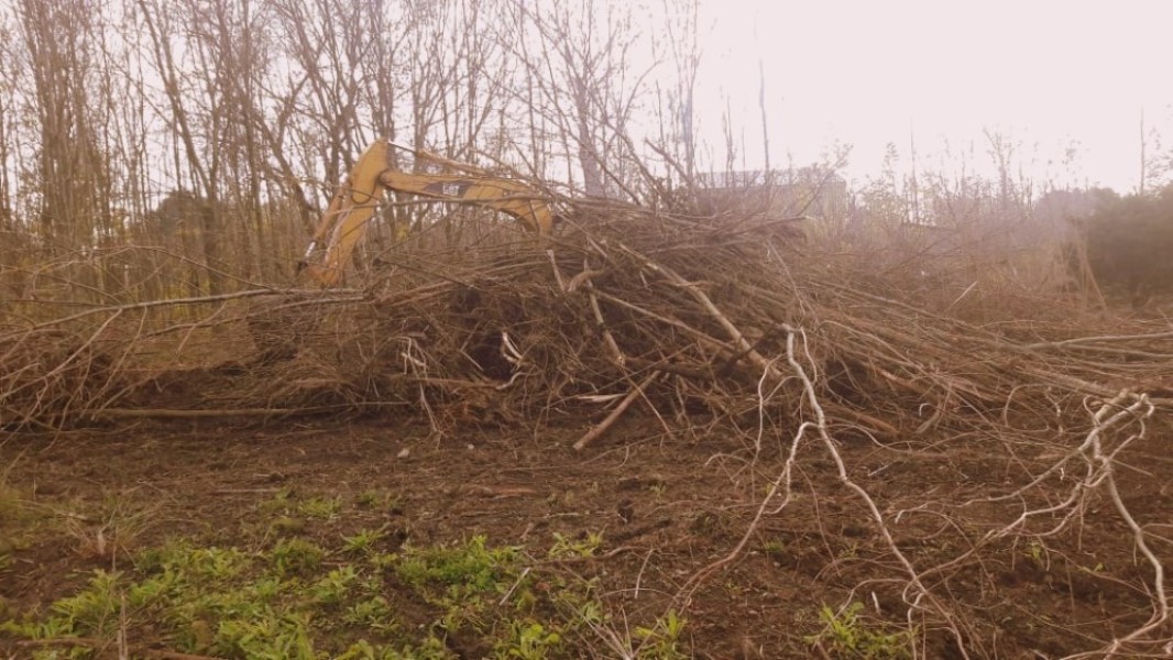Limpieza de lotes en chascomus
