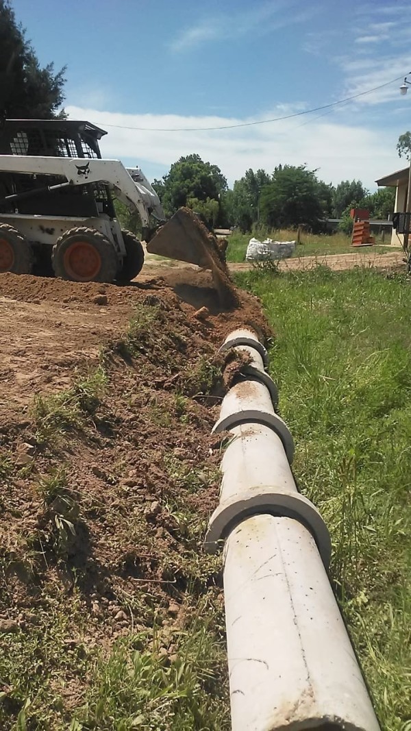 Movimiento de Suelos y Limpieza de Terrenos en Escobar 🚜🌳