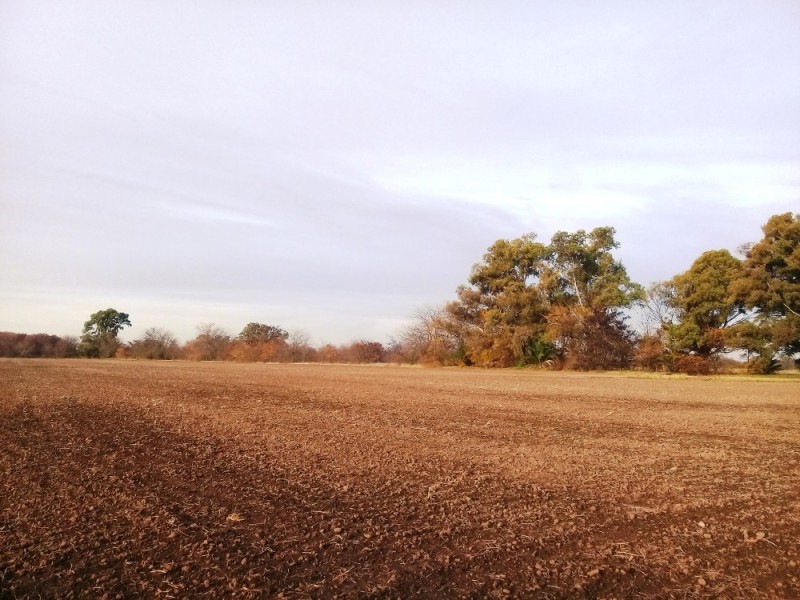 Venta de Campo en Mercedes Buenos Aires - 13 Has con monte