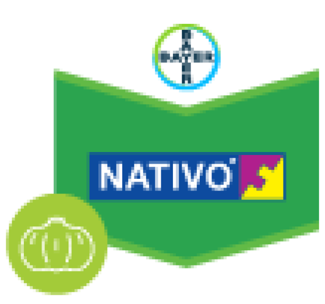 Nativo