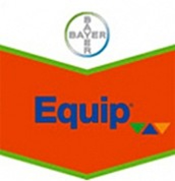 EQUIP WG caja (foramsulfuron + iodosulfuron 30+2%)