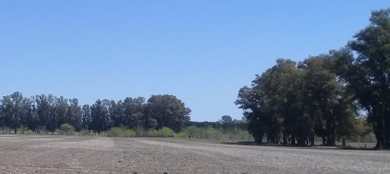 Venta de campo en Mercedes - 10 Has. agrícolas