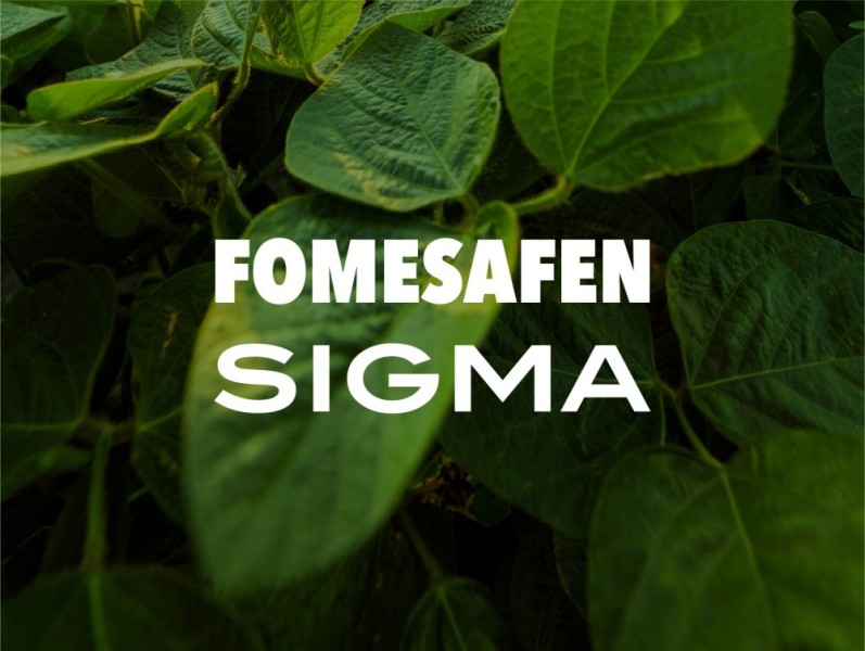 FOMESAFEN 25% SIGMA x 20 lt