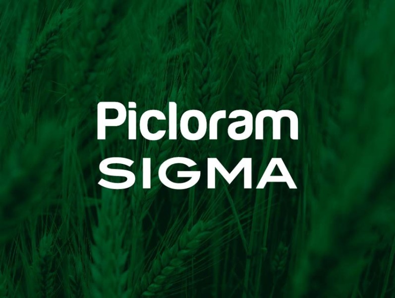 PICLORAM 27,8% SIGMA x 5 Lts.