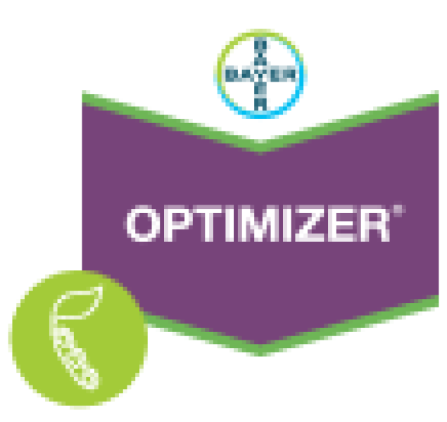 Optimizer