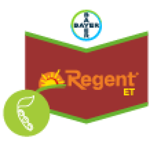 Regent