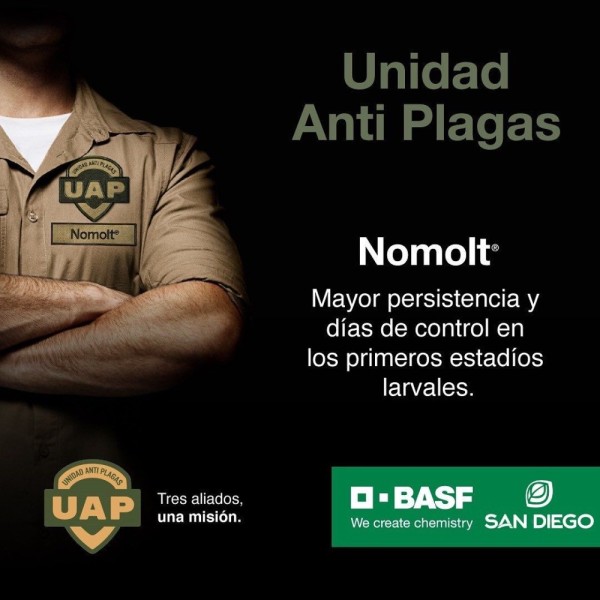 NOMOLT INSECTICIDA BASF