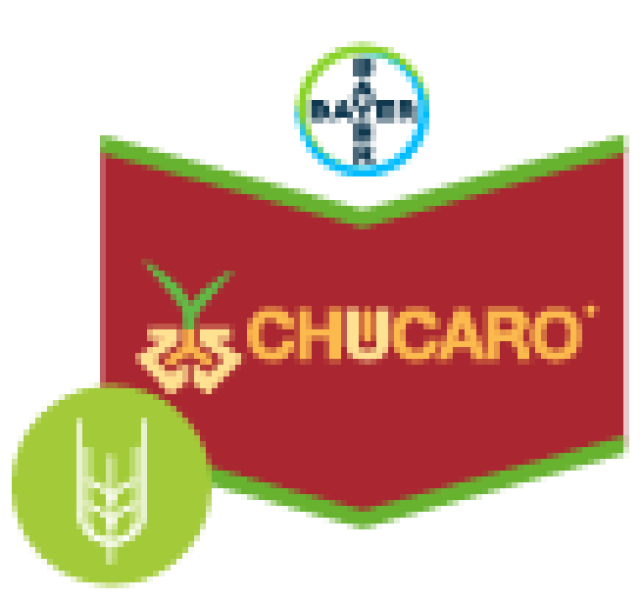 Chucaro pack fast