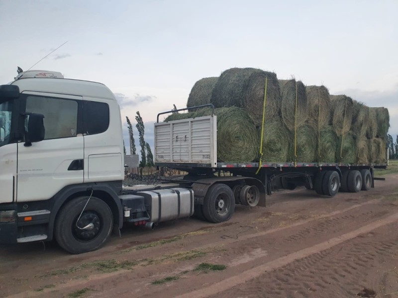 Rollos de Alfalfa (Precio por Kilo)