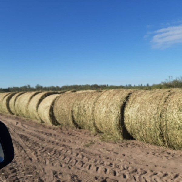 Rollos de Alfalfa (Precio por Kilo)