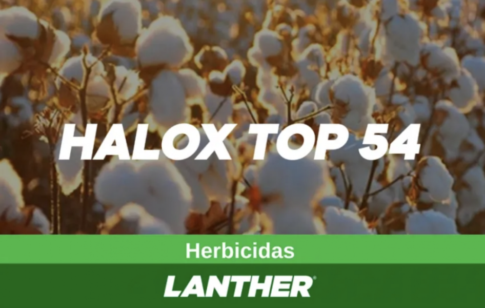 HALOXIFOP 54% HALOX x 5 lts.