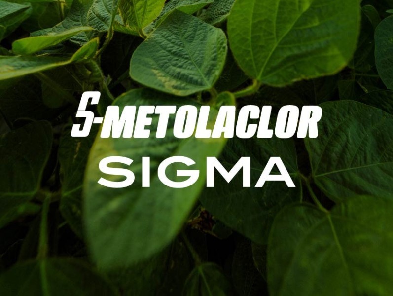 METOLACLORO (S) 96% SIGMA X 20 LTS