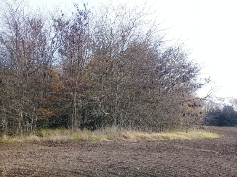 Venta de Campo en Mercedes Buenos Aires - 13 Has con monte