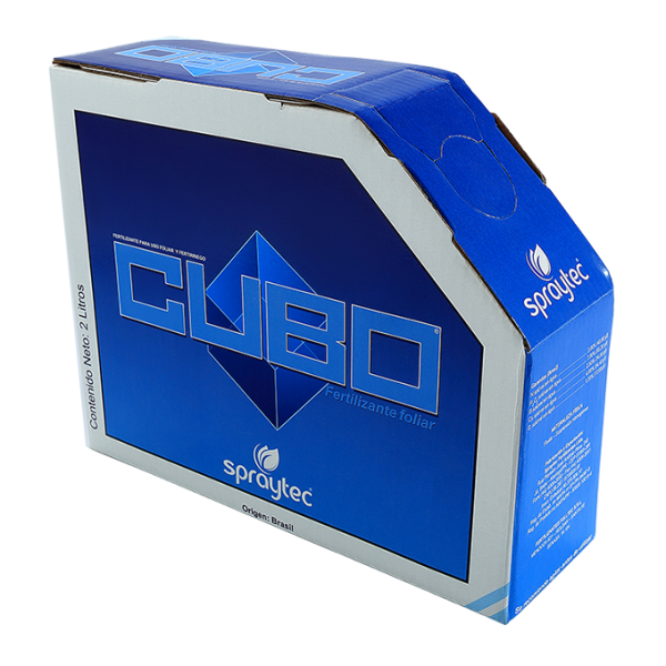 Cubo