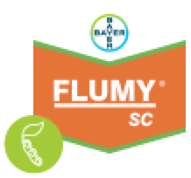 FLUMYZIN 48 Flumioxacin