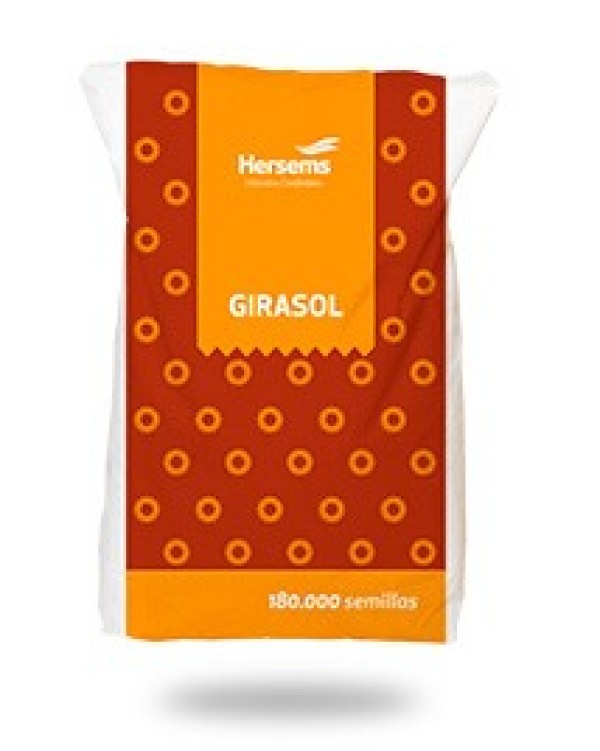 Semilla de Girasol HS Pirayu CL (Bolsa de 180.000 semillas)