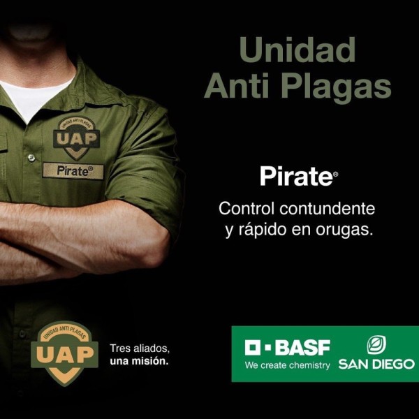 PIRATE INSECTICIDA BASF