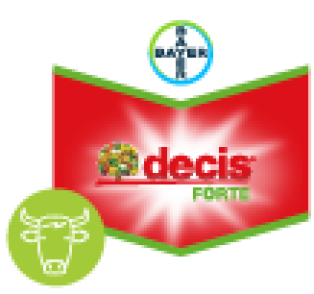 Decis Forte