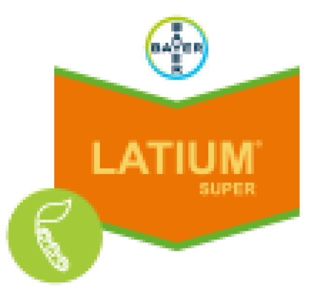 Latium