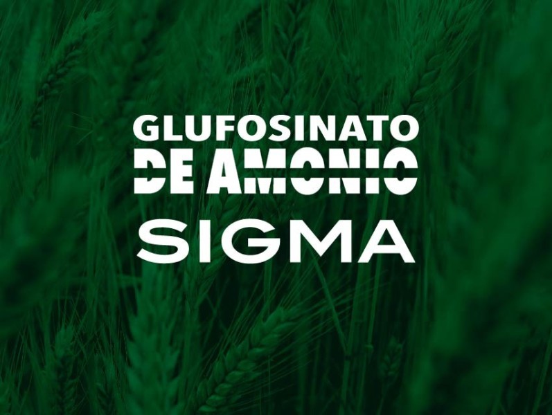 GLUFOSINATO DE AMONIO SIGMA 20 % x 20 lts.