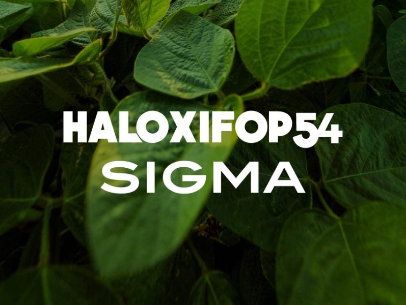 HALOXIFOP 54% SIGMA x 5lts.