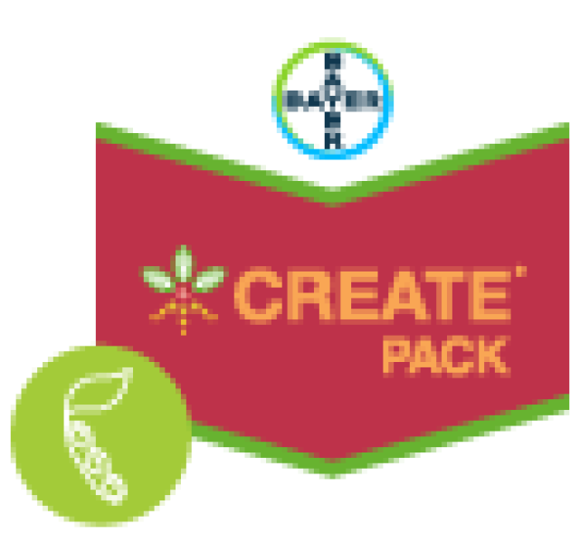 Create pack