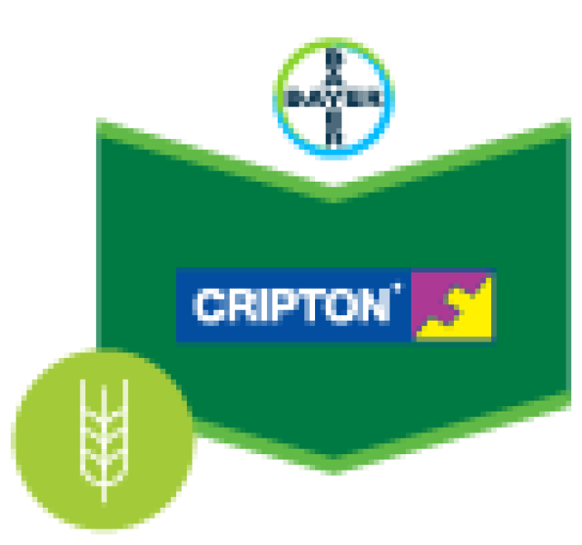 Cripton