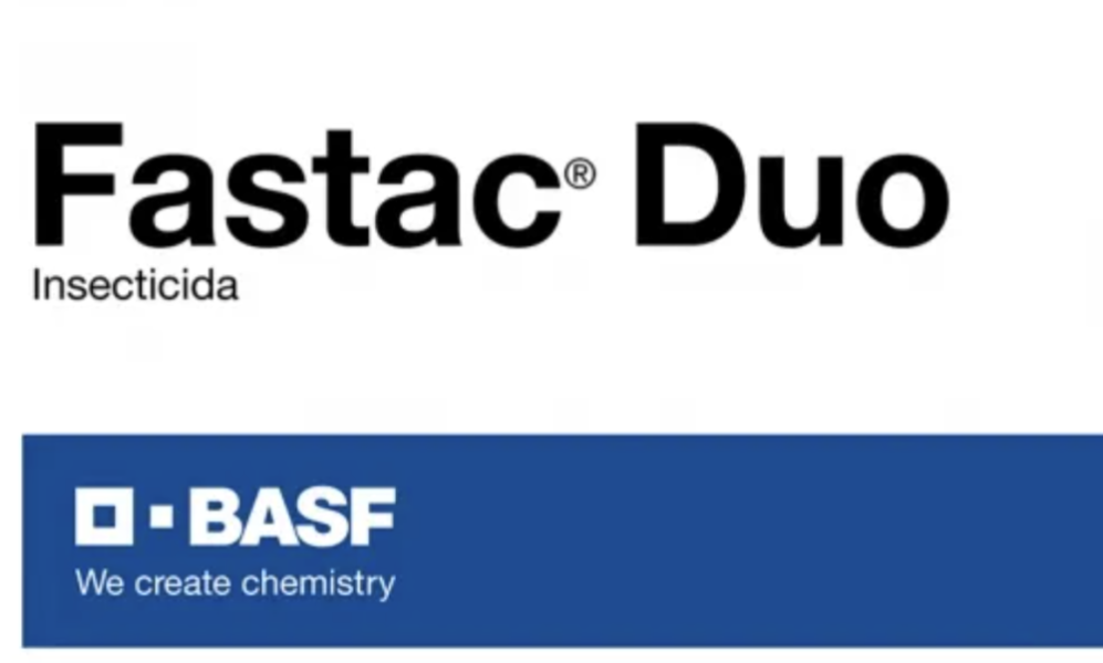 Fastac Duo