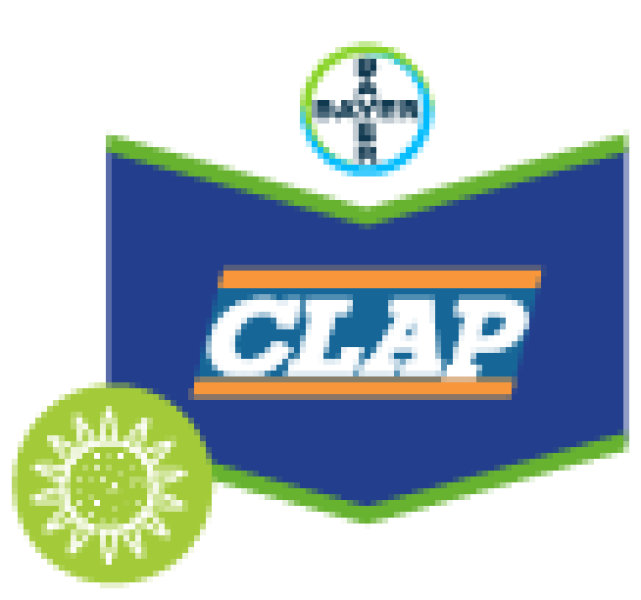 Clap