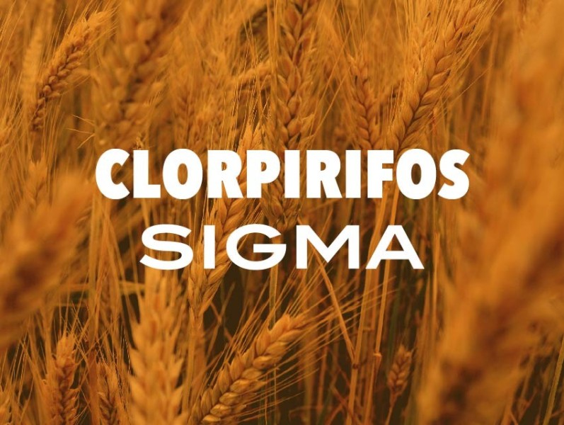 Clorpirifos Sigma