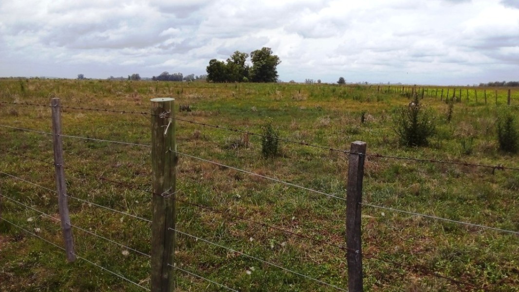 venta de campo de 44 Has. cerca de ruta en Mercedes Buenos Aires