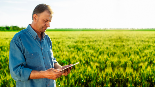 ¿POR QUÉ AL SECTOR DEL AGRO LE CONVIENE VENDER Y COMPRAR ONLINE?