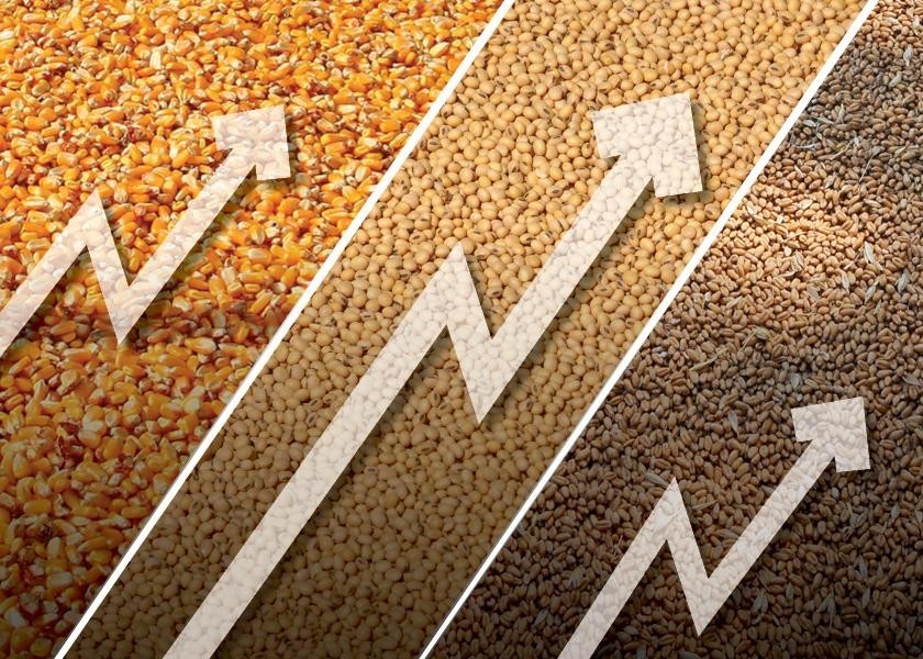 Precios de granos 'bien respaldados' para los próximos tres años, dice economista de RaboResearch