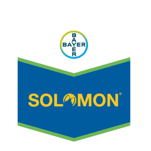 SOLOMON BAYER