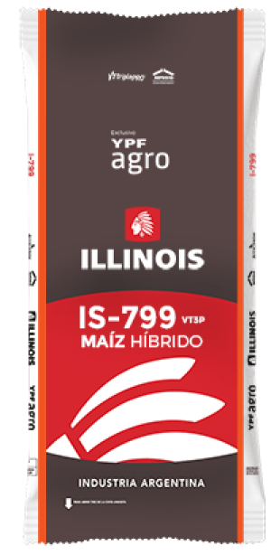 Semilla de Maiz IS-799 (Bolsa de 80.000 semillas)