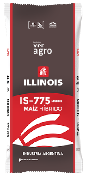 Semilla de Maiz IS-775 MGRR2 (Bolsa de 80.000 semillas)