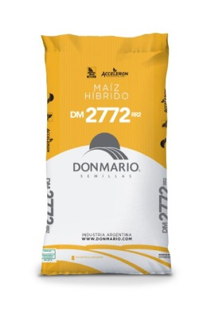 MAIZ DM 2772 RR2 C9 80000 SEM