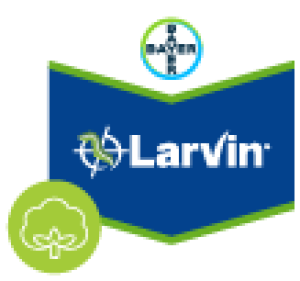 Larvin
