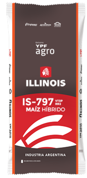 Semilla de Maiz IS-797 RR2/VIP3 (Bolsa de 80.000 semillas)