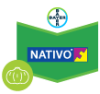 Nativo
