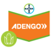 Adengo