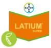 Latium