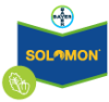 Solomon